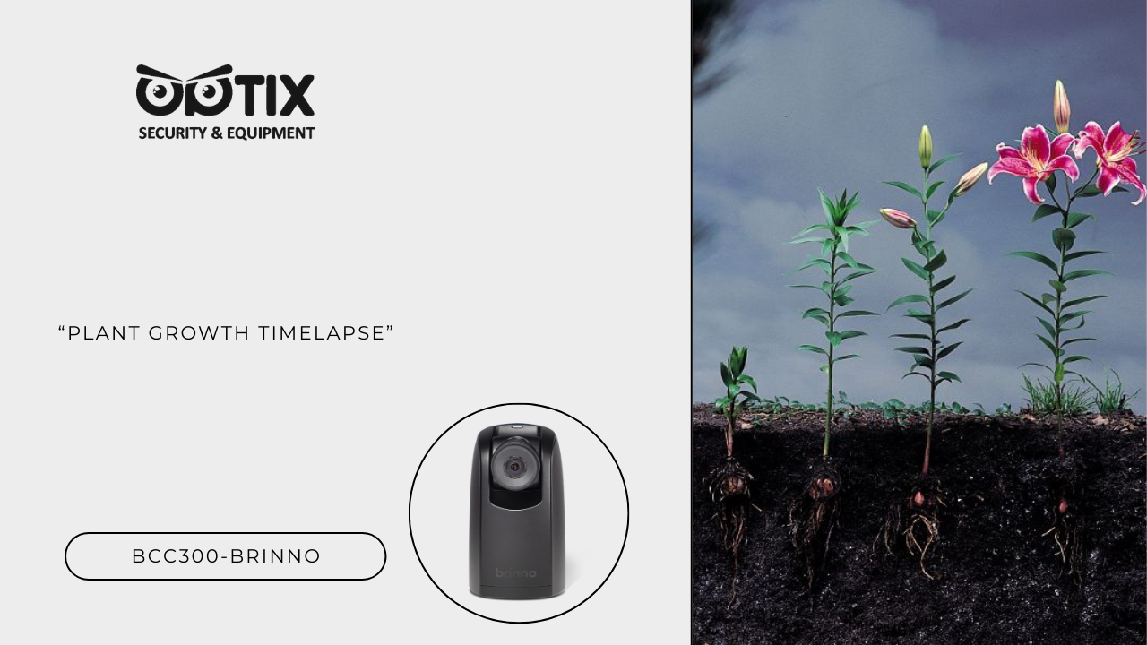 Time-Lapse of Plant Growth 